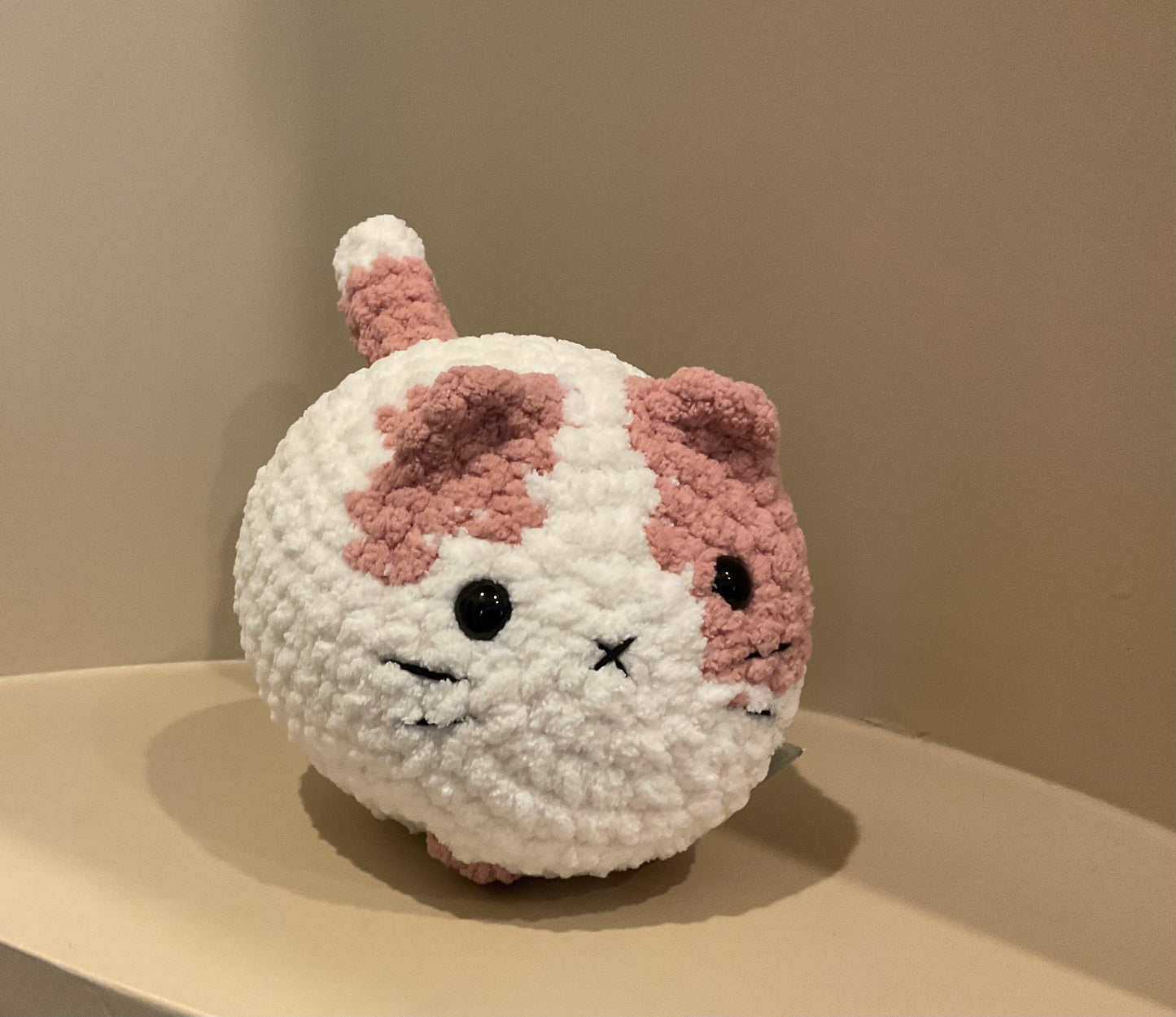 Poppy the Loaf Cat