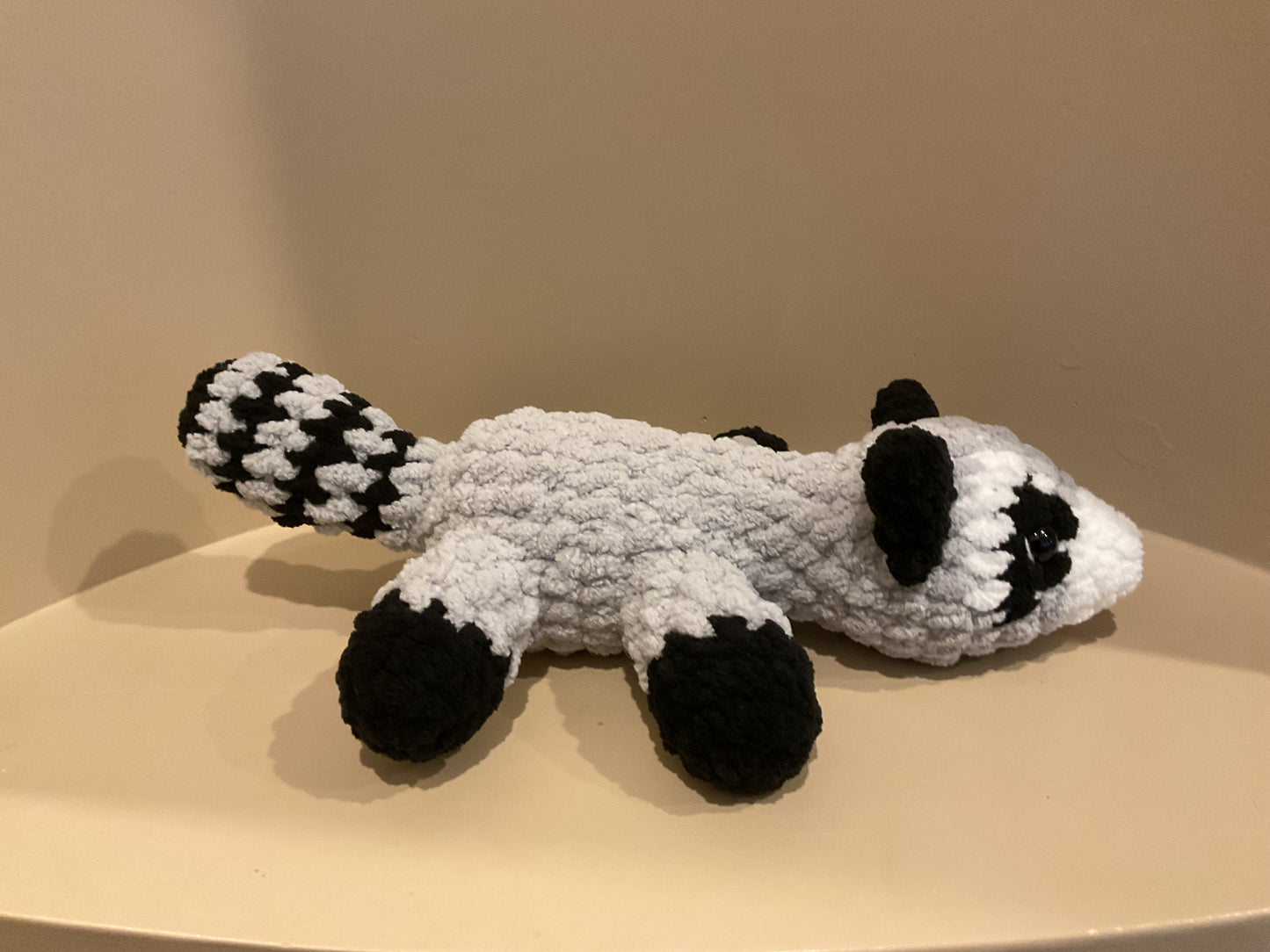 Rocky the Raccoon