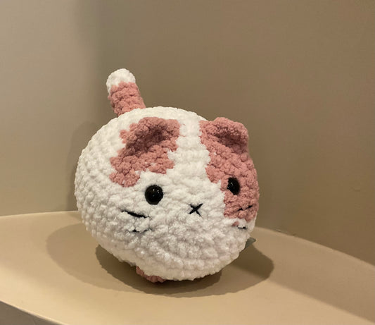Poppy the Loaf Cat